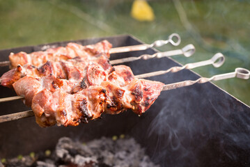 meat skewered on a skewer to grill/grilling meat on a sunny day