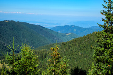 view over the wild Retezat National Park, Romania