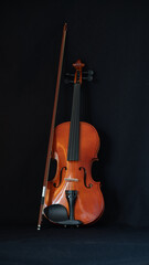 
Violin and its bow on a black background