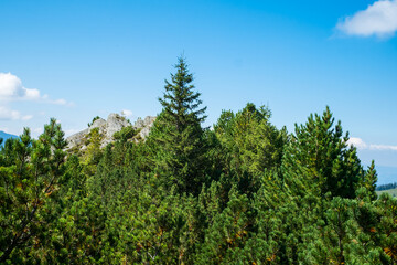 view over the wild Retezat National Park, Romania