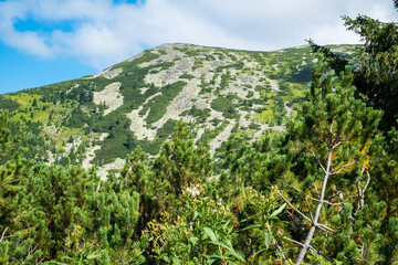 view over the wild Retezat National Park, Romania