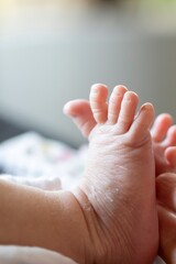 A closeup portrait of some baby feet. The newborn child is stretching its little cute toes to the limit.