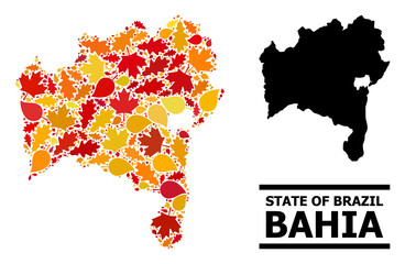 Mosaic autumn leaves and solid map of Bahia State. Vector map of Bahia State is composed from scattered autumn maple and oak leaves. Abstract territory plan in bright gold, red,
