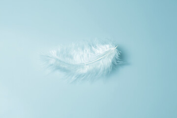 Close-up decorative bird feather.  Abstract blue background.