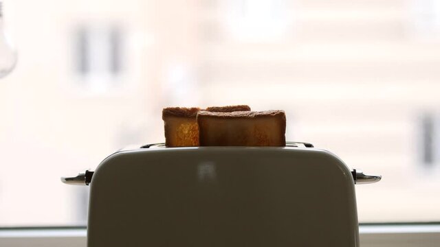 Roasted bread jump out from a white toaster. delicious and toasted toast. the process of frying toasts.