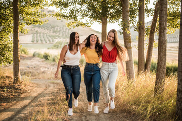 Smiling young women walk holding each other through the field. Girls have fun together walking in the field