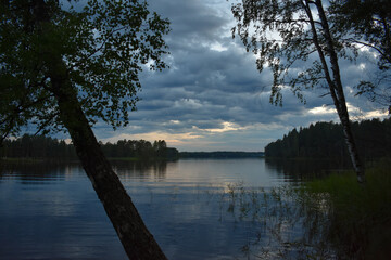 tree on the background of the sunset over the lake