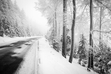 snowy road in frosty forest, cold morning in winter atmosphere, bohemian forest, czech republic