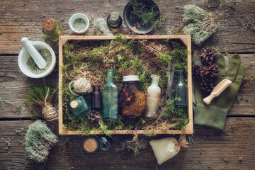 Healthy infusion and oil bottles, wooden box of healthy moss, lichen, moss, juniper, pine cones on...