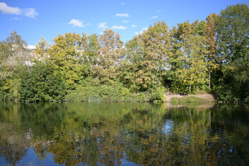Fototapeta na wymiar Reflexion von Flussbäumen im Wasser und im blauen Himmel