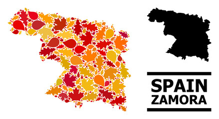 Mosaic autumn leaves and solid map of Zamora Province. Vector map of Zamora Province is done from randomized autumn maple and oak leaves. Abstract territory scheme in bright gold, red,