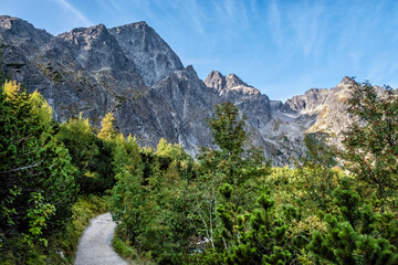 Fototapeta na wymiar Green tarn valley, High Tatras mountains, Slovakia
