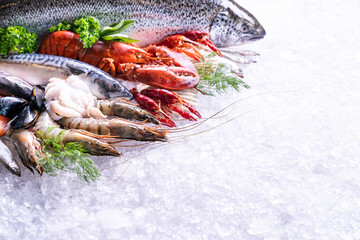 Fresh seafood on ice background with copyspae