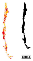 Mosaic autumn leaves and usual map of Chile. Vector map of Chile is formed with randomized autumn maple and oak leaves. Abstract territory plan in bright gold, red, brown colors for map of Chile.