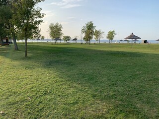 golf course in the morning