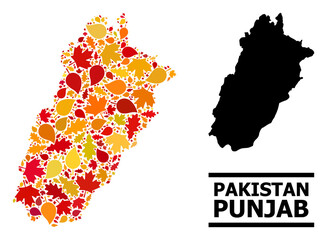 Mosaic autumn leaves and solid map of Punjab Province. Vector map of Punjab Province is constructed with randomized autumn maple and oak leaves. Abstract territory scheme in bright gold, red,