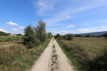 Fototapeta na wymiar Rural country road through beautiful French countryside 
