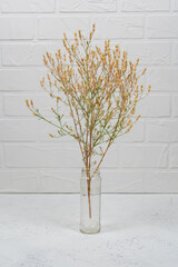 A bouquet of dry spikelets in a glass vase on a wooden table against a white brick background. Stylish home decor. Modern interior design