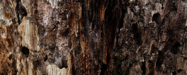 Old crack dark wooden texture