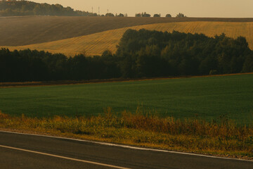 landscape with road