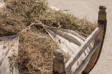 Rural scene during hay harvest in Val Gardena in Dolomites