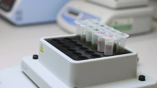 Samples are shaking in the termo shaker and after stop the chemist picks up it. 