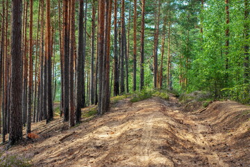 Fototapety na wymiar - Fototapeta24.pl