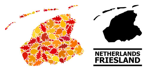 Mosaic autumn leaves and solid map of Friesland Province. Vector map of Friesland Province is composed with scattered autumn maple and oak leaves. Abstract territorial scheme in bright gold, red,