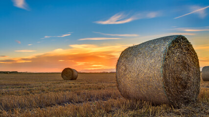 Rundballen im Sonnenuntergang	
