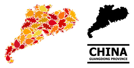 Mosaic autumn leaves and usual map of Guangdong Province. Vector map of Guangdong Province is designed of randomized autumn maple and oak leaves. Abstract territory scheme in bright gold, red,