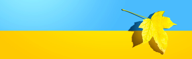 Autumn yellow leaf with shadow - flat lay