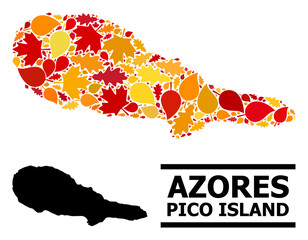 Mosaic autumn leaves and usual map of Pico Island. Vector map of Pico Island is designed with scattered autumn maple and oak leaves. Abstract geographic plan in bright gold, red,