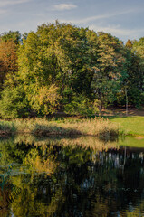 City park in the warm and sunny day during the autumn season. Landscape fulfilled of sunlight