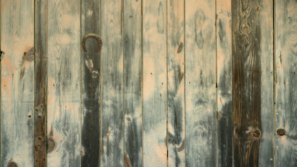 Wooden plank wall and horseshoe