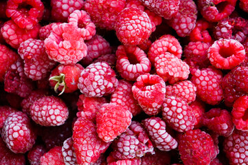 frozen raspberry texture close up for background and your text