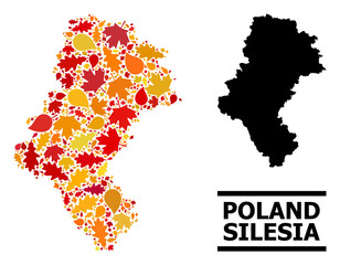 Mosaic autumn leaves and solid map of Silesia Province. Vector map of Silesia Province is shaped from random autumn maple and oak leaves. Abstract geographic plan in bright gold, red,