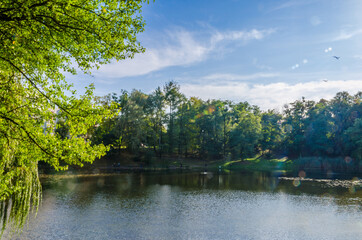 City park in the warm and sunny day during the autumn season. Landscape fulfilled of sunlight