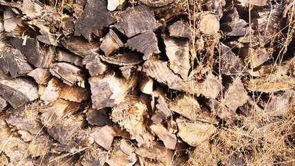 
Cutting wood stacked and stored for the cold weather to come