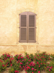 Fototapeta na wymiar Close-up of the closed wooden shutters of a beautiful stone building and its pretty little roses