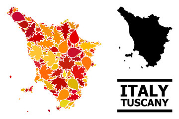 Mosaic autumn leaves and solid map of Tuscany region. Vector map of Tuscany region is done of scattered autumn maple and oak leaves. Abstract geographic plan in bright gold, red,