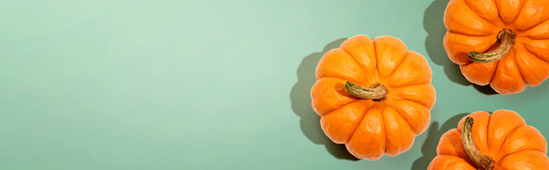 Autumn orange pumpkins overhead view - flat lay