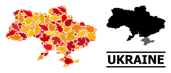 Mosaic autumn leaves and usual map of Ukraine. Vector map of Ukraine is organized from scattered autumn maple and oak leaves. Abstract territory plan in bright gold, red,