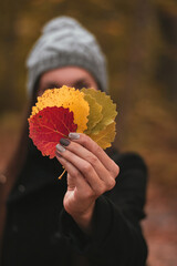 Close-up of woman holding colorful Autumn leaves in hand. Shallow depth of field with bokeh and blur. Barely visible eyes. Gray hat and black coat