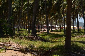 praia do gunga