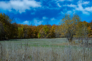 autumn landscape with lake and trees