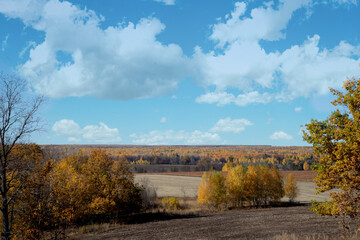 autumn landscape with trees