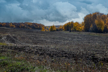 autumn landscape in the countryside