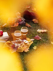 Picnic in nature. Two glasses with white wine on a wooden board, next to a chopped apple. In the background there are pumpkins and a hat, a stack of books and maple yellow leaves. Cold white wine.