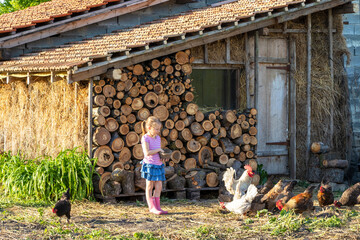 Girl feeding chickens near the henhouse © Volodymyr Shostak