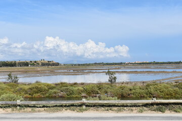 ROUTE DU SEL A HYERES